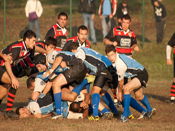 RUGBY VOGHERA Fase di gioco (click to enlarge)